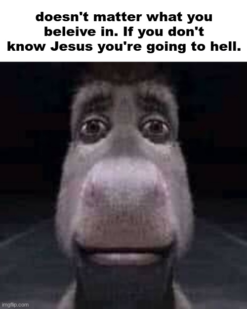 I really don't want any of you to suffer. Even you furries. | doesn't matter what you beleive in. If you don't know Jesus you're going to hell. | image tagged in donkey staring | made w/ Imgflip meme maker