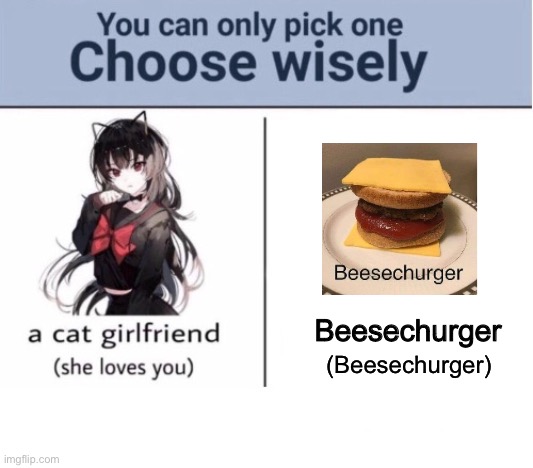 Choose wisely | Beesechurger; (Beesechurger) | image tagged in choose wisely,msmg | made w/ Imgflip meme maker