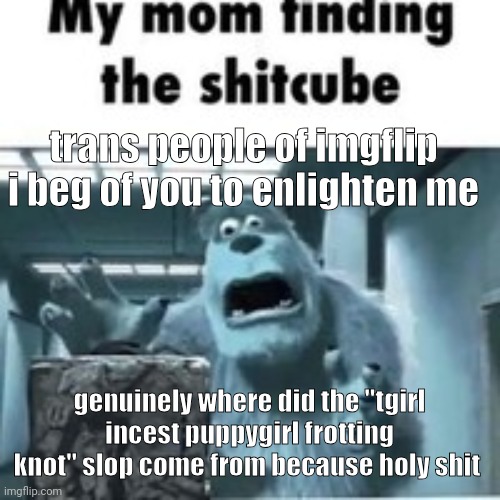 Why did it go from Blahaj to incest cocaine | trans people of imgflip i beg of you to enlighten me; genuinely where did the "tgirl incest puppygirl frotting knot" slop come from because holy shit | image tagged in my mom finding the shitcube | made w/ Imgflip meme maker