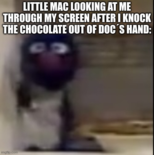 YOU WON ´T LIKE DOC WHEN HE´S ANGRY | LITTLE MAC LOOKING AT ME THROUGH MY SCREEN AFTER I KNOCK THE CHOCOLATE OUT OF DOC´S HAND: | image tagged in grover staring | made w/ Imgflip meme maker