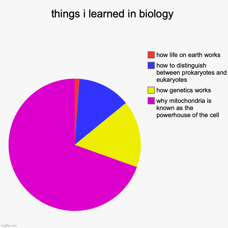 biology in a nutshell... | things i learned in biology | why mitochondria is known as the powerhouse of the cell, how genetics works, how to distinguish between prokar | image tagged in charts,pie charts,biology,earth,funny,genetics | made w/ Imgflip chart maker