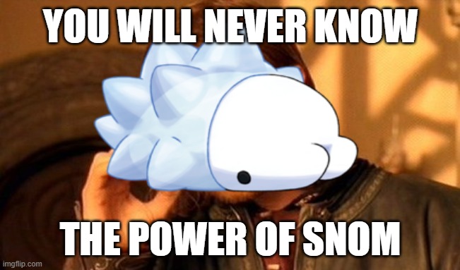 One Does Not Simply Meme | YOU WILL NEVER KNOW; THE POWER OF SNOM | image tagged in memes,snow,snom,i never know what to put for tags | made w/ Imgflip meme maker