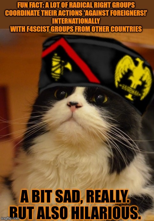 This #lolcat wonders why people who hate foreigners so gladly work with foreigners | FUN FACT: A LOT OF RADICAL RIGHT GROUPS 

COORDINATE THEIR ACTIONS 'AGAINST FOREIGNERS!' 
INTERNATIONALLY 
WITH F4SCIST GROUPS FROM OTHER COUNTRIES; A BIT SAD, REALLY. BUT ALSO HILARIOUS. | image tagged in stupid people,fascism,fascist,lolcat,think about it | made w/ Imgflip meme maker