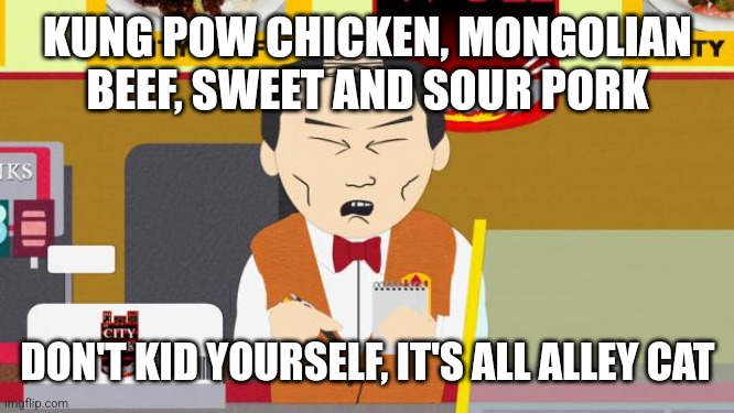 South-Park-Chinese-Guy | KUNG POW CHICKEN, MONGOLIAN BEEF, SWEET AND SOUR PORK; DON'T KID YOURSELF, IT'S ALL ALLEY CAT | image tagged in south-park-chinese-guy | made w/ Imgflip meme maker