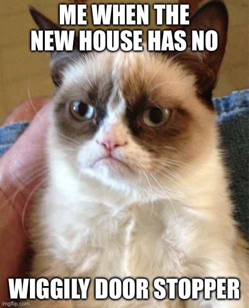 Worst house ever | ME WHEN THE NEW HOUSE HAS NO; WIGGILY DOOR STOPPER | image tagged in memes,grumpy cat | made w/ Imgflip meme maker