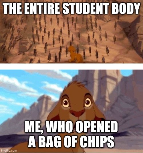 When You Open a Bag of Chips in School | THE ENTIRE STUDENT BODY; ME, WHO OPENED A BAG OF CHIPS | image tagged in lion king stampede | made w/ Imgflip meme maker