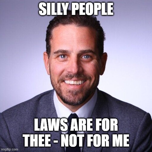 Hunter Biden | SILLY PEOPLE; LAWS ARE FOR THEE - NOT FOR ME | image tagged in hunter biden | made w/ Imgflip meme maker