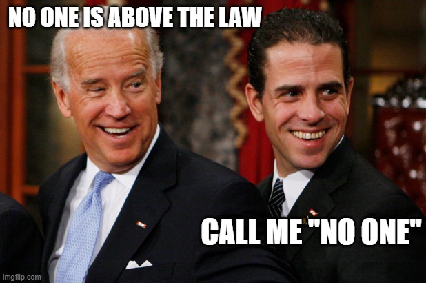 Hunter Biden Crack Head | NO ONE IS ABOVE THE LAW; CALL ME "NO ONE" | image tagged in hunter biden crack head | made w/ Imgflip meme maker