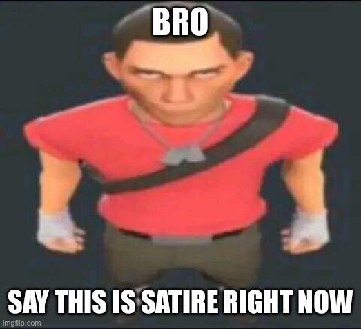 bro | BRO SAY THIS IS SATIRE RIGHT NOW | image tagged in bro | made w/ Imgflip meme maker