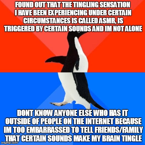 Socially Awesome Awkward Penguin | FOUND OUT THAT THE TINGLING SENSATION I HAVE BEEN EXPERIENCING UNDER CERTAIN CIRCUMSTANCES IS CALLED ASMR, IS TRIGGERED BY CERTAIN SOUNDS AN | image tagged in memes,socially awesome awkward penguin,AdviceAnimals | made w/ Imgflip meme maker