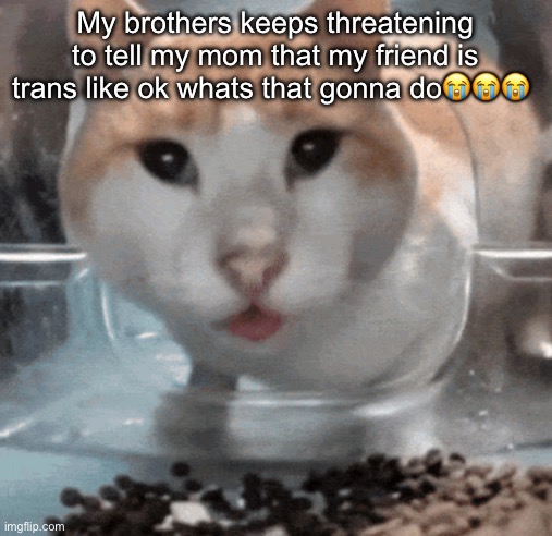 bro is so tarded☠️ | My brothers keeps threatening to tell my mom that my friend is trans like ok whats that gonna do😭😭😭 | image tagged in mr shock stare | made w/ Imgflip meme maker