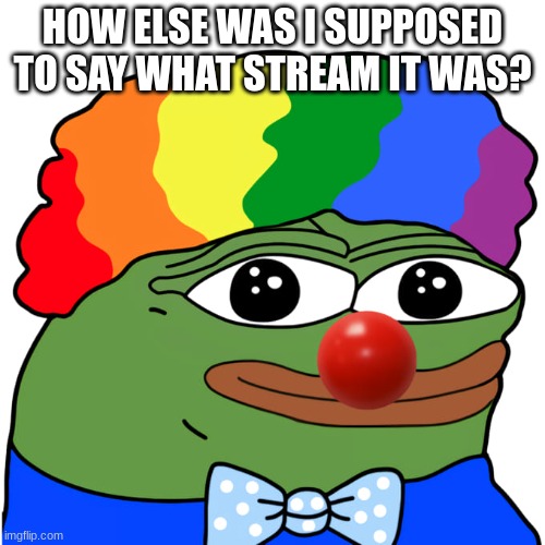 Honk | HOW ELSE WAS I SUPPOSED TO SAY WHAT STREAM IT WAS? | image tagged in honk | made w/ Imgflip meme maker