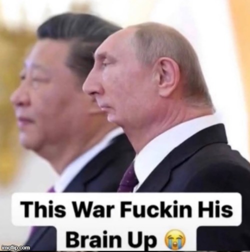 Brainless putin | image tagged in brainless putin | made w/ Imgflip meme maker