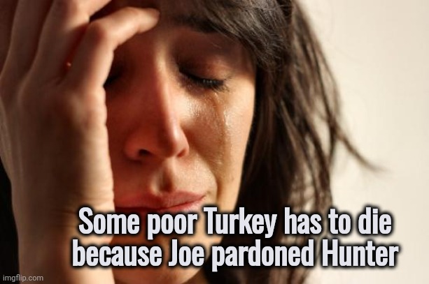 First World Problems Meme | Some poor Turkey has to die
because Joe pardoned Hunter | image tagged in memes,first world problems | made w/ Imgflip meme maker