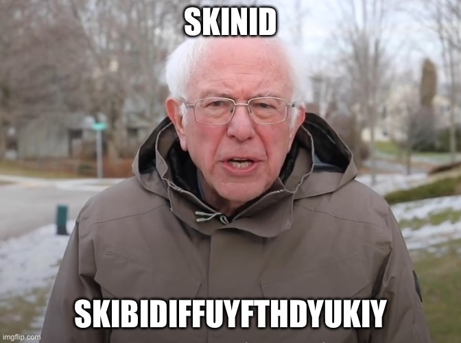 Hi | SKINID; SKIBIDIFFUYFTHDYUKIY | image tagged in bernie sanders once again asking,food | made w/ Imgflip meme maker