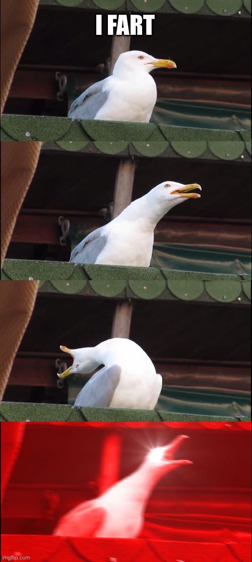 Inhaling Seagull | I FART | image tagged in memes,inhaling seagull | made w/ Imgflip meme maker