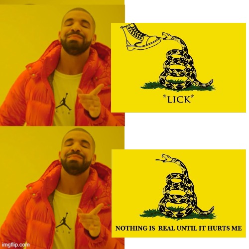 Can't decide | image tagged in drake double approval,right wing,snakes | made w/ Imgflip meme maker