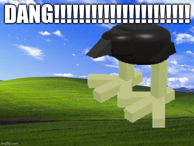 Windows XP Wallpaper | DANG!!!!!!!!!!!!!!!!!!!!!! | image tagged in windows xp wallpaper,roblox,pukeko chick,roblox pukeko,damn | made w/ Imgflip meme maker