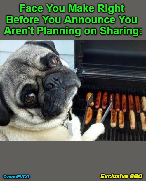 Dining for One | Face You Make Right 

Before You Announce You 

Aren't Planning on Sharing:; OzwinEVCG; Exclusive BBQ | image tagged in dog cooking bbq,animals,food,dogs,barbecue,funny | made w/ Imgflip meme maker