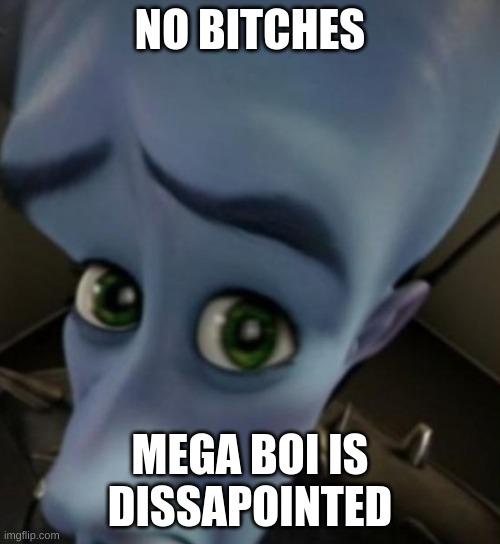 Megamind no bitches | NO BITCHES; MEGA BOI IS DISSAPOINTED | image tagged in megamind no bitches | made w/ Imgflip meme maker