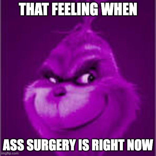 purple grinch | THAT FEELING WHEN; ASS SURGERY IS RIGHT NOW | image tagged in purple grinch,memes,funny,surgery | made w/ Imgflip meme maker