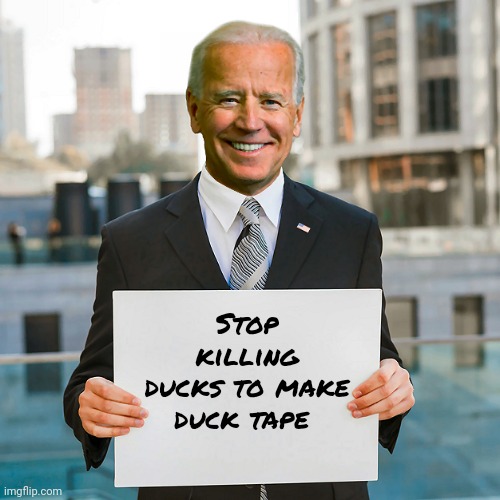 Joe Biden Blank Sign | Stop killing ducks to make
duck tape | image tagged in joe biden blank sign | made w/ Imgflip meme maker