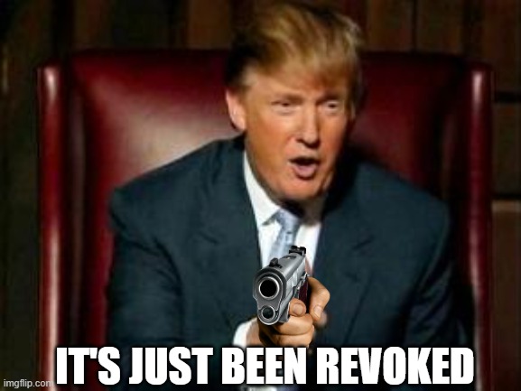 Donald Trump | IT'S JUST BEEN REVOKED | image tagged in donald trump | made w/ Imgflip meme maker