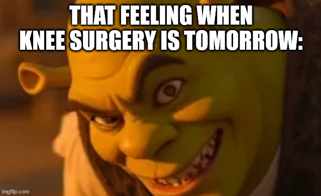 That feeling when knee surgery is tomorrow shrek edition | THAT FEELING WHEN KNEE SURGERY IS TOMORROW: | image tagged in shrek smile | made w/ Imgflip meme maker