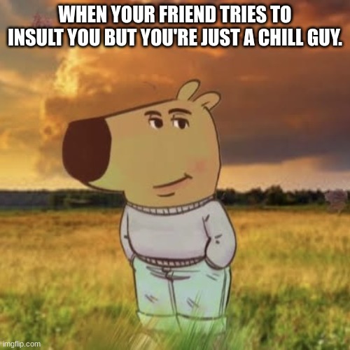 chill guy | WHEN YOUR FRIEND TRIES TO INSULT YOU BUT YOU'RE JUST A CHILL GUY. | image tagged in chill guy,meme,w | made w/ Imgflip meme maker