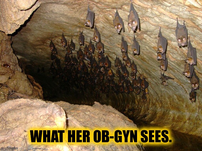 WHAT HER OB-GYN SEES. | made w/ Imgflip meme maker