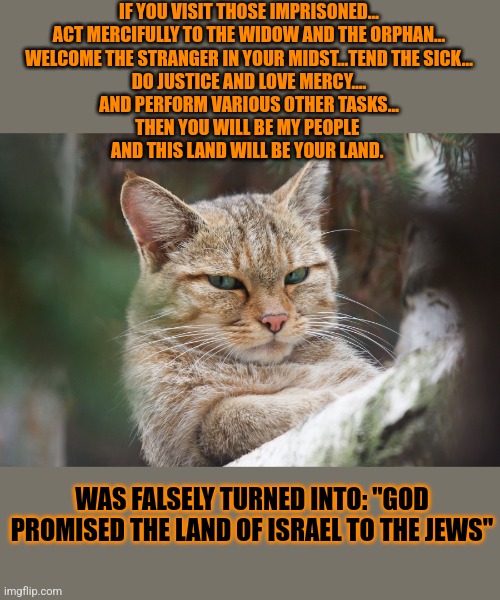 This #lolcat wonders why hoo-mens lie about promises | IF YOU VISIT THOSE IMPRISONED…
ACT MERCIFULLY TO THE WIDOW AND THE ORPHAN…
WELCOME THE STRANGER IN YOUR MIDST…TEND THE SICK…
DO JUSTICE AND LOVE MERCY….
AND PERFORM VARIOUS OTHER TASKS…
THEN YOU WILL BE MY PEOPLE 
AND THIS LAND WILL BE YOUR LAND. WAS FALSELY TURNED INTO: "GOD PROMISED THE LAND OF ISRAEL TO THE JEWS" | image tagged in lolcat,zionism,israel,jews,promises | made w/ Imgflip meme maker