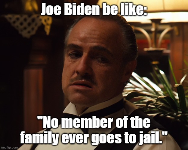 Don Joe Biden | Joe Biden be like:; "No member of the family ever goes to jail." | image tagged in joe biden,political meme,political | made w/ Imgflip meme maker