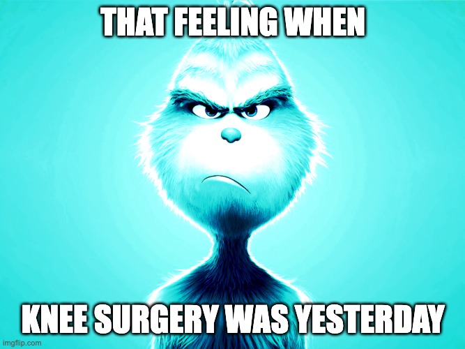 Sad knee surgery | THAT FEELING WHEN; KNEE SURGERY WAS YESTERDAY | image tagged in sad knee surgery,memes,funny,grinch,blue grinch,knee surgery | made w/ Imgflip meme maker