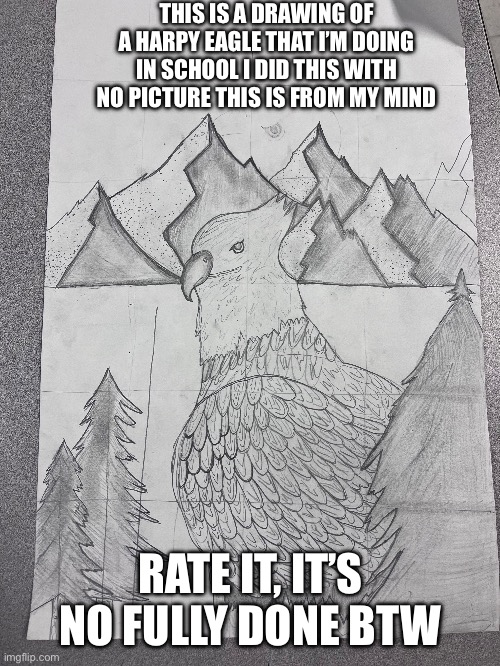 Rate it and we hit 41 follows tysm guys | THIS IS A DRAWING OF A HARPY EAGLE THAT I’M DOING IN SCHOOL I DID THIS WITH NO PICTURE THIS IS FROM MY MIND; RATE IT, IT’S NO FULLY DONE BTW | made w/ Imgflip meme maker