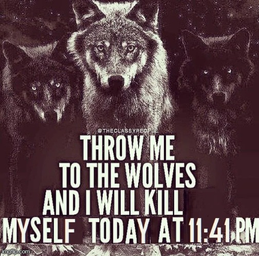 throw me to the wolves | image tagged in gifs,memes,funny,shitpost,tag,another tag i put | made w/ Imgflip meme maker