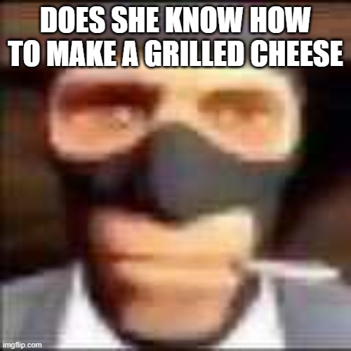 If this girl was real and loved you, would you date her? | DOES SHE KNOW HOW TO MAKE A GRILLED CHEESE | image tagged in spi | made w/ Imgflip meme maker