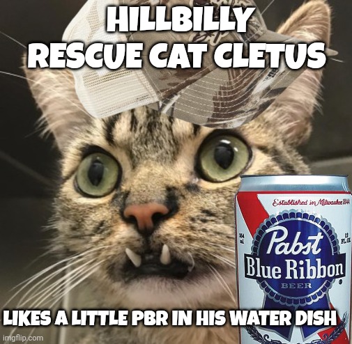 hillbilly cat meme | HILLBILLY RESCUE CAT CLETUS; LIKES A LITTLE PBR IN HIS WATER DISH | image tagged in redneck hillbilly | made w/ Imgflip meme maker