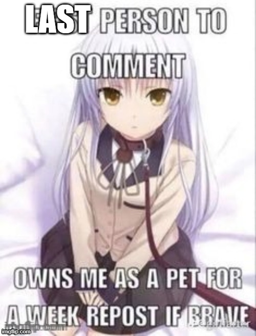 I'm gonna regret this. | LAST | image tagged in first person to comment owns as a pet for a week | made w/ Imgflip meme maker