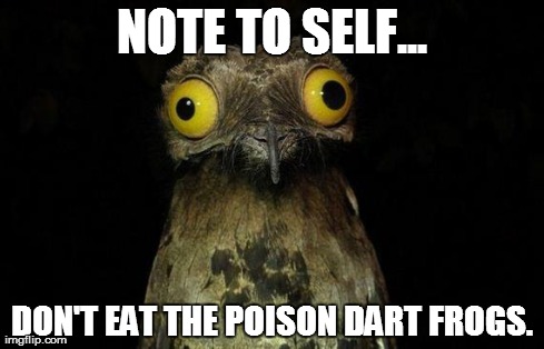 Weird Stuff I Do Potoo Meme | NOTE TO SELF... DON'T EAT THE POISON DART FROGS. | image tagged in memes,weird stuff i do potoo | made w/ Imgflip meme maker
