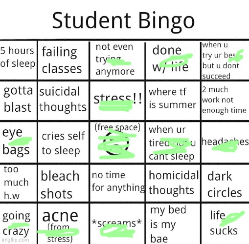 My life in a nutshell | image tagged in student bingo | made w/ Imgflip meme maker