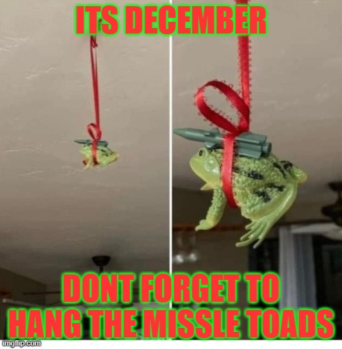 Time to put up the missle toads | ITS DECEMBER; DONT FORGET TO HANG THE MISSLE TOADS | image tagged in missle toad | made w/ Imgflip meme maker