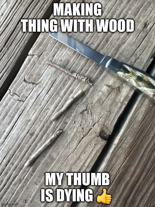 MAKING THING WITH WOOD; MY THUMB IS DYING 👍 | made w/ Imgflip meme maker