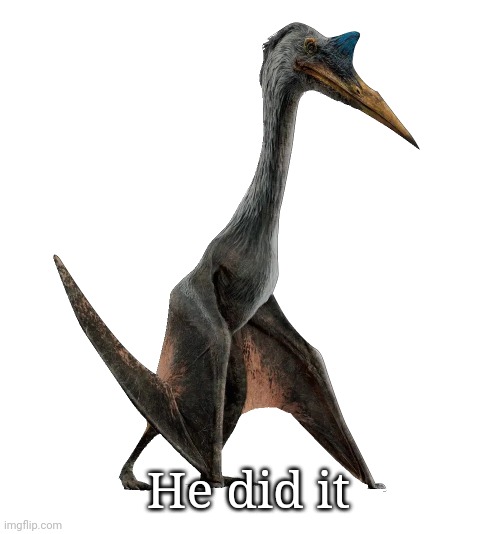 Quetzalcoatlus | He did it | image tagged in quetzalcoatlus | made w/ Imgflip meme maker