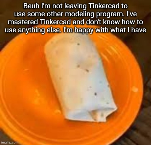 JimmyHere Burrito | Beuh I'm not leaving Tinkercad to use some other modeling program. I've mastered Tinkercad and don't know how to use anything else. I'm happy with what I have | image tagged in jimmyhere burrito | made w/ Imgflip meme maker