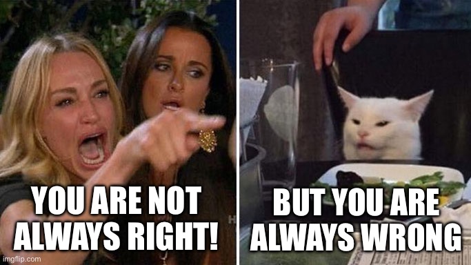 Angry lady cat | YOU ARE NOT ALWAYS RIGHT! BUT YOU ARE ALWAYS WRONG | image tagged in angry lady cat | made w/ Imgflip meme maker