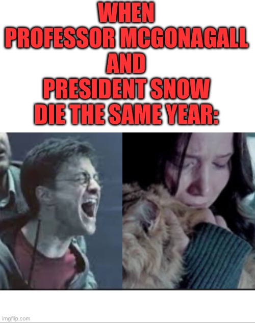 Rest In Peace, Maggie Smith and Donald Sutherland | WHEN PROFESSOR MCGONAGALL AND PRESIDENT SNOW DIE THE SAME YEAR: | image tagged in blank white template,harry potter,hunger games | made w/ Imgflip meme maker