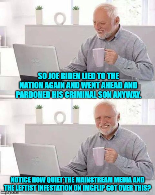 They got REAL . . . quiet. | SO JOE BIDEN LIED TO THE NATION AGAIN AND WENT AHEAD AND PARDONED HIS CRIMINAL SON ANYWAY. NOTICE HOW QUIET THE MAINSTREAM MEDIA AND THE LEFTIST INFESTATION ON IMGFLIP GOT OVER THIS? | image tagged in hide the pain harold | made w/ Imgflip meme maker