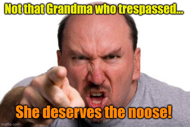 Angry Man Pointing | Not that Grandma who trespassed... She deserves the noose! | image tagged in angry man pointing | made w/ Imgflip meme maker