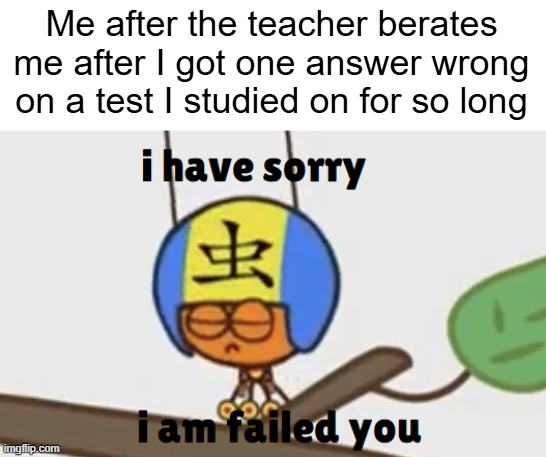 All that studying... | Me after the teacher berates me after I got one answer wrong on a test I studied on for so long | image tagged in i have sorry i am failed you,school | made w/ Imgflip meme maker