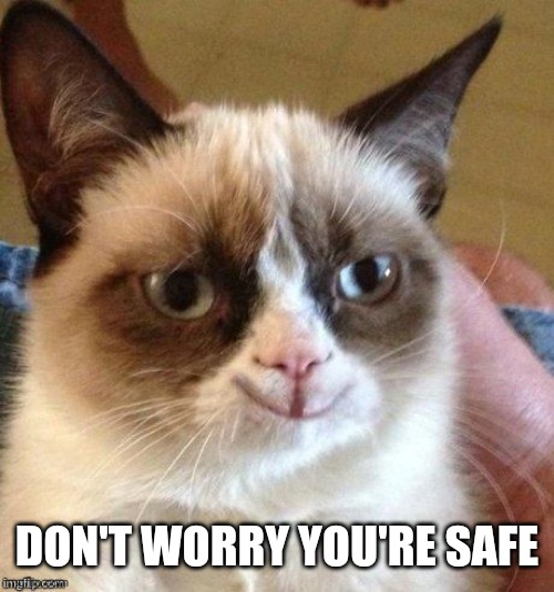 grumpy smile | DON'T WORRY YOU'RE SAFE | image tagged in grumpy smile | made w/ Imgflip meme maker